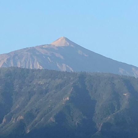 Céntrico y coqueto apartamento Puerto de la Cruz  Esterno foto